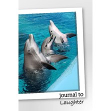 Belirtilmemiş Journal To Laughter: Dolphins - 100 Page Lined Daily Journal To Remember To Laugh Daily.