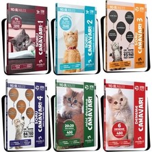 Modadili YKSDİL Soru ve Deneme Canavarı Seti (6 Kitap) (Ciltli)