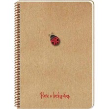 Mikasso 20X28 cm 100 Sayfa Çizgisiz Telli Defter Kraft Kapak 70 gr Krem Rengi Kağıt Karton Spiralli Çizgisiz