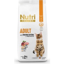 Nutri Feline Tavuklu Yetişkin Tahılsız Kedi Maması 2 kg