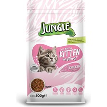 Jungle 500 Gr Tavuklu Yavru Kedi Maması Junior Besleyici İçerik ile Tüm Irklar için Özel Formül