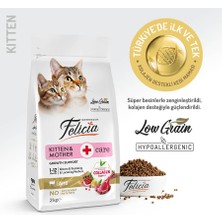 Felicia 2 Kg Yavru Kuzu Etli  Az Tahıllı HypoAllergenic Kedi Mama