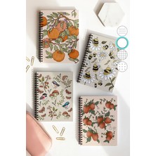 Mikasso Spiralli Çizgisiz Okul Defter Seti, A5 Boyutunda 50 Yaprak 100 Sayfa 4'lü Set, Meyveli Set Karton Sp