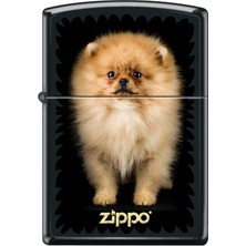 Zippo Puppy Çakmak