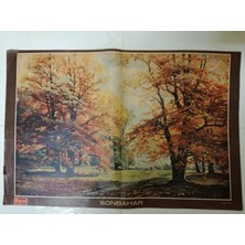 Plakperest Sonbahar-Ressam:kopp 32X49 cm Boyutlarında Tablo Poster