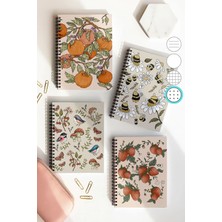 Mikasso Spiralli Noktalı Okul Defter Seti, A5 Boyutunda 50 Yaprak 100 Sayfa 4'lü Set, Meyveli Set Karton Spi