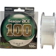 Seaguar Ace 100MT 2.5pe 0.26MM %100 Fluorocarbon Misina
