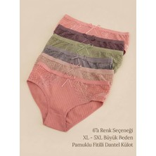 Nixci İntimates Nixci Intimates Kadın Büyük Beden %95 Pamuklu 6 'lı Slip Külot Dantelli Fitilli Yüksek Bel
