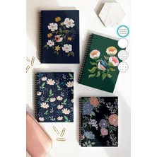 Mikasso Spiralli Çizgili Okul Defter Seti, A5 Boyutunda 50 Yaprak 100 Sayfa 4'lü Set, Kuşlu Set Sert Spirall