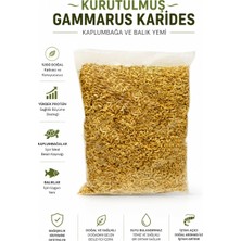 ANS 25 gr Gammarus Kaplumbağa Yemi