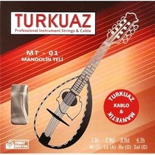 Esranın Dünyası Mt-01 Takım Mandolin Teli - Set