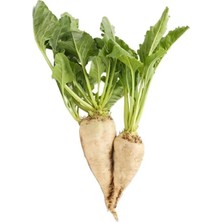 Esranın Dünyası Pancar Şeker (Çoklu Tohum) - 5 Gram
