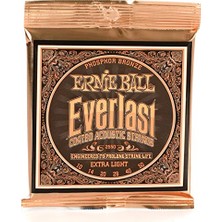Esranın Dünyası Ernie Ball Everlast Ekstra Hafif Kaplamalı Fosfor Bronz Akustik Gitar Telleri, Ölçü 10-50