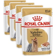 Esranın Dünyası Royal Canin Yorkshire Terrier Pouch Yetişkin Köpekler Için Konserve , 85 G (4 Paketi)