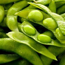Esranın Dünyası Yerli Doğal Soya Fasulyesi Tohumu 50 Adet Tohum