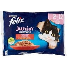 Esranın Dünyası Junior Yavru Yaş Kedi Sı 85GR 4lü