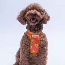 Esranın Dünyası Poodle Air-Mesh Göğüs Tasması Kedi Köpek Göğüs Tasması
