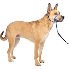 Esranın Dünyası Nazik Lider Çekmesiz Köpek Yaka - Çekmenin En Iyi Çözümü - Köpeğinizin Çekmesini Daha Kolay Yürüyüşler Için Yönlendirir - Kontrolü Yeniden Kazanmanıza Yardımcı Olur - Medium, Kraliyet Mavisi
