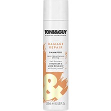 Esranın Dünyası Toni & Guy Yıpranmış Saçlar Için Şampuan 250 ml 1 Paket (1 x 250 Ml)