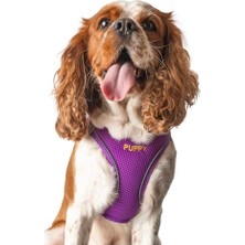 Esranın Dünyası Kişiye Özel Airmesh Köpek Göğüs Tasması Isimli Göğüs Tasması I Küçük ve Orta Irk Köpekler I Renk Seçenekli (Mor, Xs)
