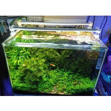 Esranın Dünyası Orionled Akvaryum LED Aydınlatma Beyaz 40CM 6500K