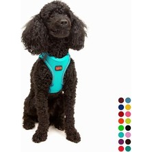 Esranın Dünyası Tailpetz Air-Mesh Küçük ve Orta Irk Kedi Köpek Göğüs Tasması - Yumuşak, Nefes Alabilir, Dayanıklı (Ocean, Xsmall)