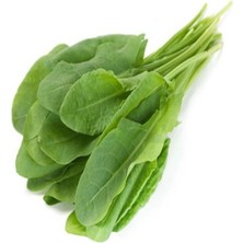 Esranın Dünyası Kuzukulağı Ekşi (Çoklu Tohum) - 3 Gram