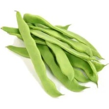 Esranın Dünyası Fasulye Romano Oturak (Çoklu Tohum) - 25 Gram