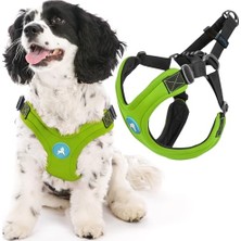 Esranın Dünyası - Escape Free Sport Harness, Small Dog Step-In Neopren Harness For Dogs That Like To Escape Their Harness, Lime, Large