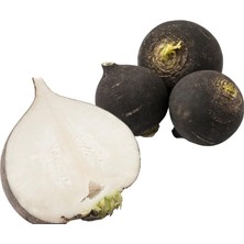 Esranın Dünyası Turp Siyah (Çoklu Tohum) - 5 Gram