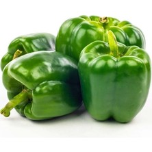 Esranın Dünyası Dolma Biber Kandil (Çoklu Tohum) - 5 Gram