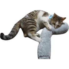 Esranın Dünyası Kedi Oyuncağı Sarılma Yastığı Uyku Oyuncağı Kedi Otlu 30 cm Peluş (1 Adet) (Gri)