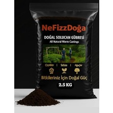 Esranın Dünyası %100 Doğal Katı Solucan Gübresi 2,5 kg | Organik Toprak Düzenleyici | Saksı, Bahçe ve Sebze Bitkileri Için