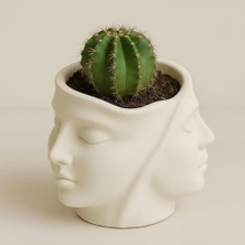 Esranın Dünyası Dekoratif Yüz Saksı – Taş Tozu Sukulent Saksısı, Modern Minimalist Masa Dekoru, El Yapımı Sukulent Saksı, Kalemlik & Makyaj Fırçası Organizer, 11 cm