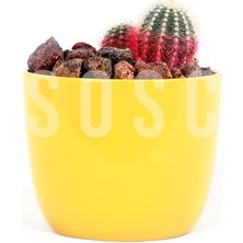 Esranın Dünyası Kırmızı Pomza Taşı 2-3 cm Volkanik Cürüf Ponza Lav Kırığı 5 Lt