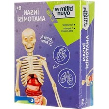 MarkEntegra Eğitici Insan Anatomisi Seti