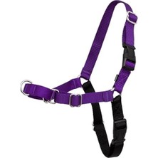 MarkEntegra Köpekler Için Kolay Kullanımlı Yürüyüş Tasması