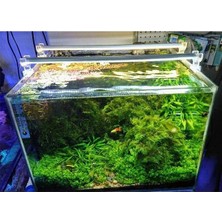 MarkEntegra 60 cm Uzunluğunda Beyaz Akvaryum LED Aydınlatma