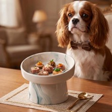 Esranın Dünyası Seramik  Kabı - Kedi ve Köpekler Için Sağlıklı  Kasesi - Ayaklı,yükseltilmiş, Kaymaz  Kabı (Yeşil)