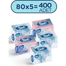 Esranın Dünyası Selpak El ve Yüz Havlusu, 5'li 400 Yaprak, Kutulu