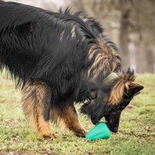 MarkEntegra Doğal Kauçuk Malzemeden Üretilmiş Xl Boy Köpek Oyuncağı - 2'li Paket