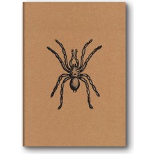 Esranın Dünyası Le Color Kraft Defter Düz Örümcek