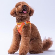 MarkEntegra Air-Mesh Göğüs Tasması, Kedi ve Köpekler Için Uygun