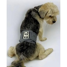 Esranın Dünyası Köpek Çiş Bel Bandı Yıkanabilir Sızdırmaz Köpek Kıyafeti