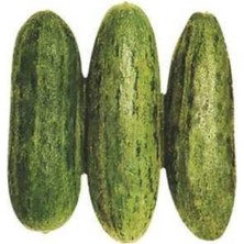 Esranın Dünyası Acur Tüylü (Çoklu Tohum) - 5 Gram