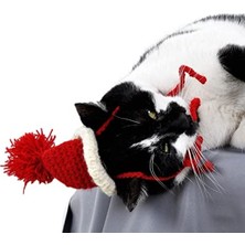 MarkEntegra Yılbaşı Temalı Örme Kedi Şapkası - Üniseks
