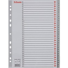 Esranın Dünyası 1-31 Rakamlı Separatör, A4, Gri, 100108