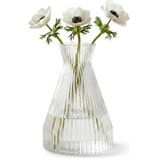 Esranın Dünyası Deconox Pure Model Şeffaf Cam Vazo - Optikli (Çizgili) Dokulu, Modern Dekoratif Çiçeklik ve Masa Üstü Vazo (22X15 Cm)