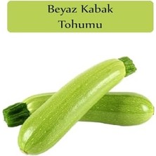 Esranın Dünyası Beyaz Kabak Tohumu 1 Paket (10GR=100+ Adet) Sakız Kabak Tohumu