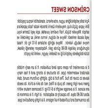 MarkEntegra Agrodal Tarım Ata Tohumu Doğal Diyarbakır Kapruzu 100 Adet Tohum